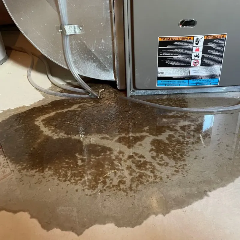 Pipe Burst and Leak Restoration in Frewsburg, NY